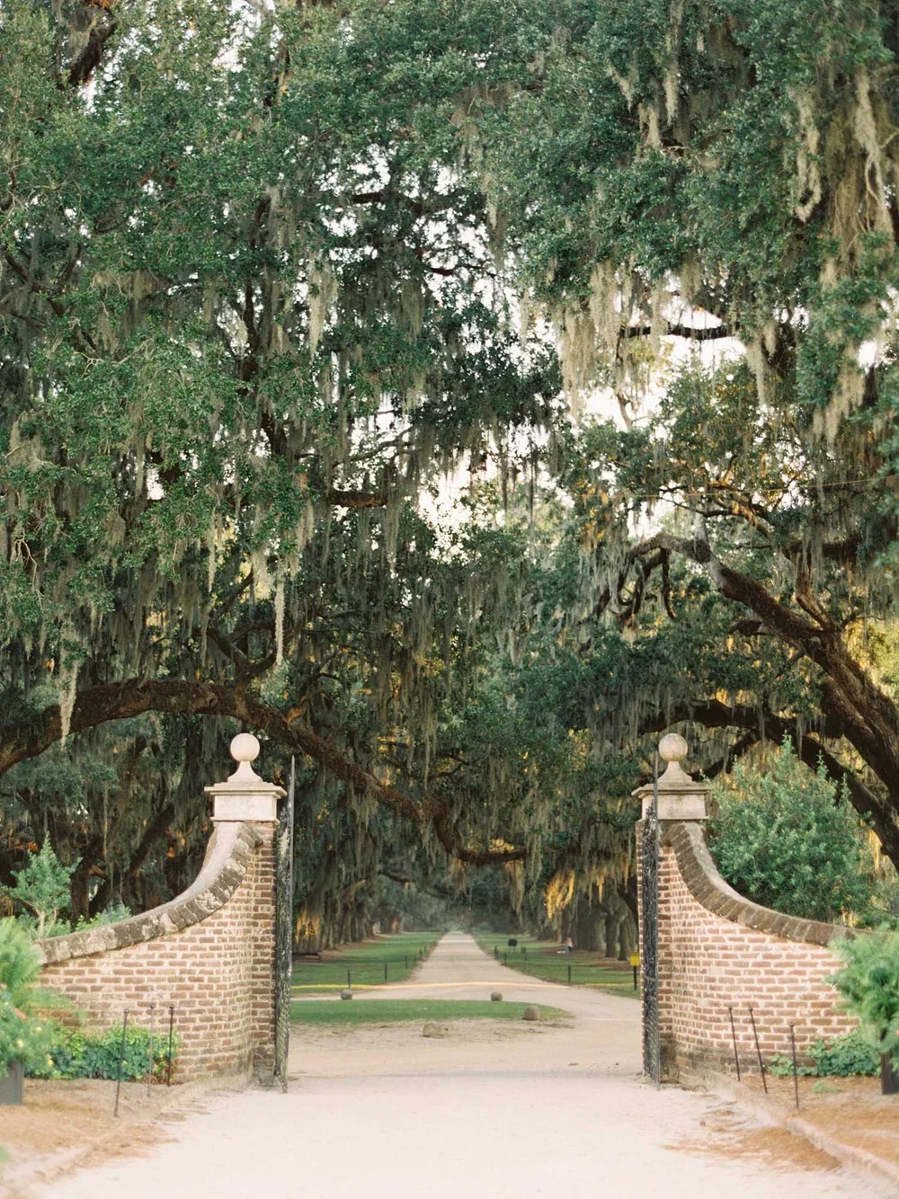 Boone Hall Plantation Front Gate entrance