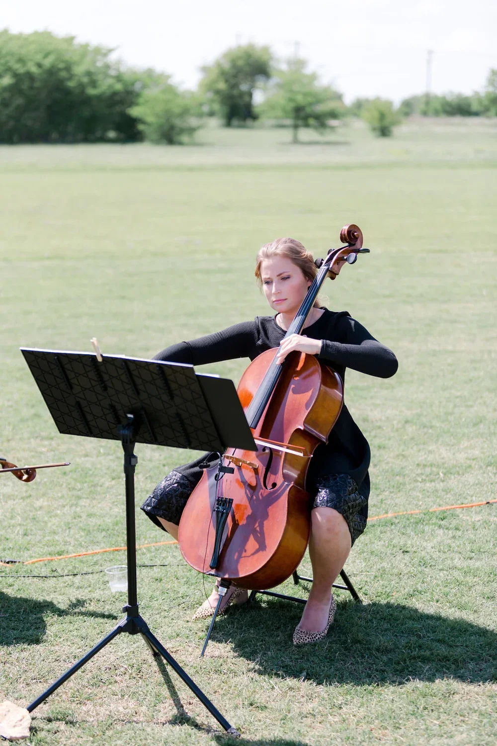 String quartet musician