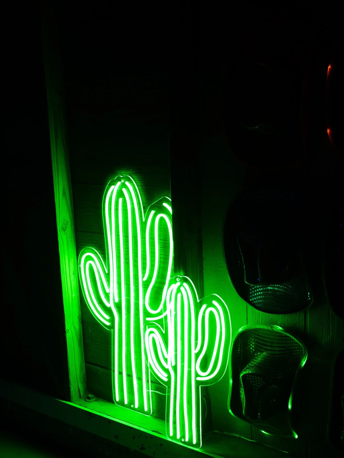 neon cactus after party