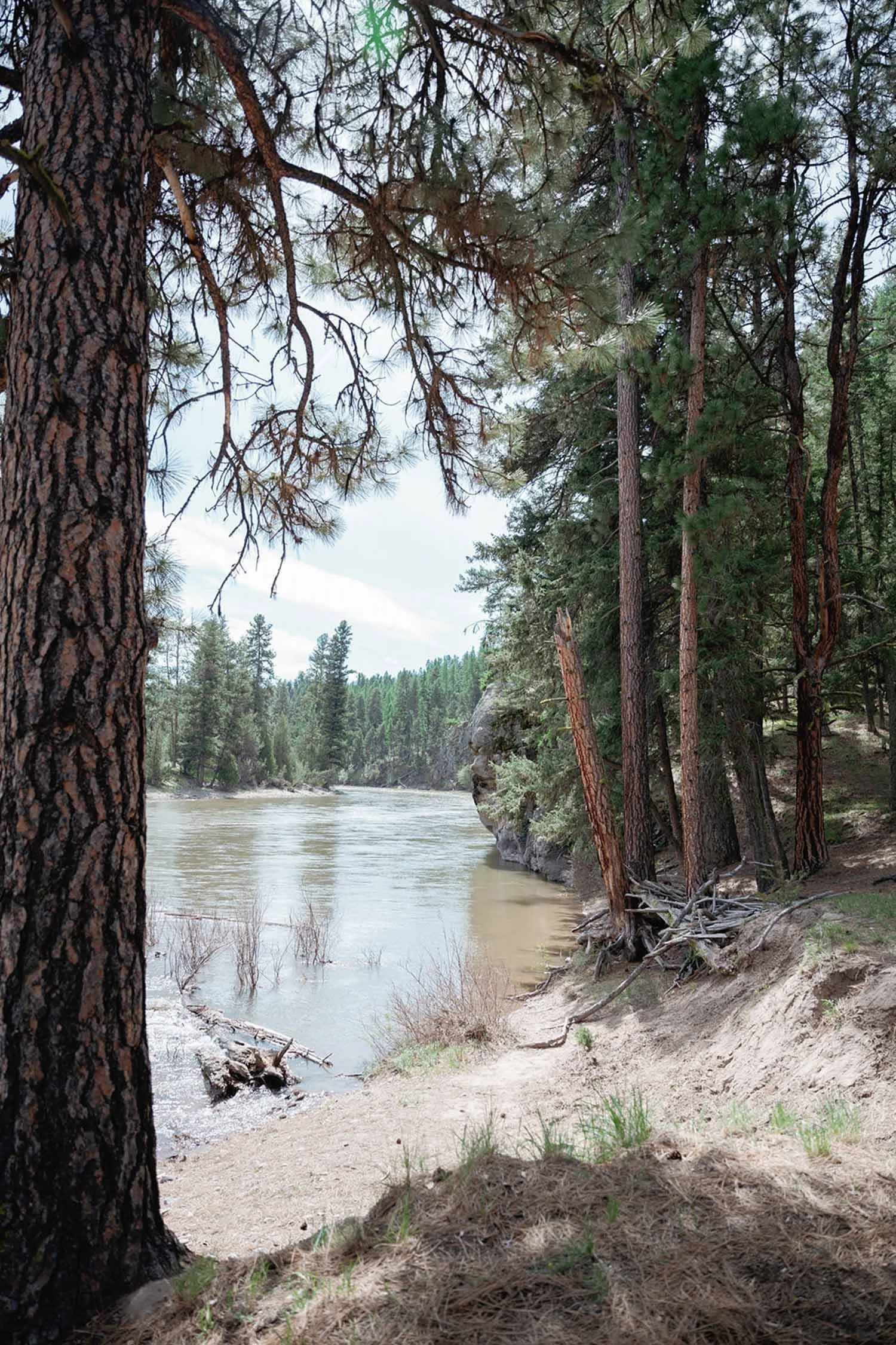 Picnic Site at Paws Up near the river