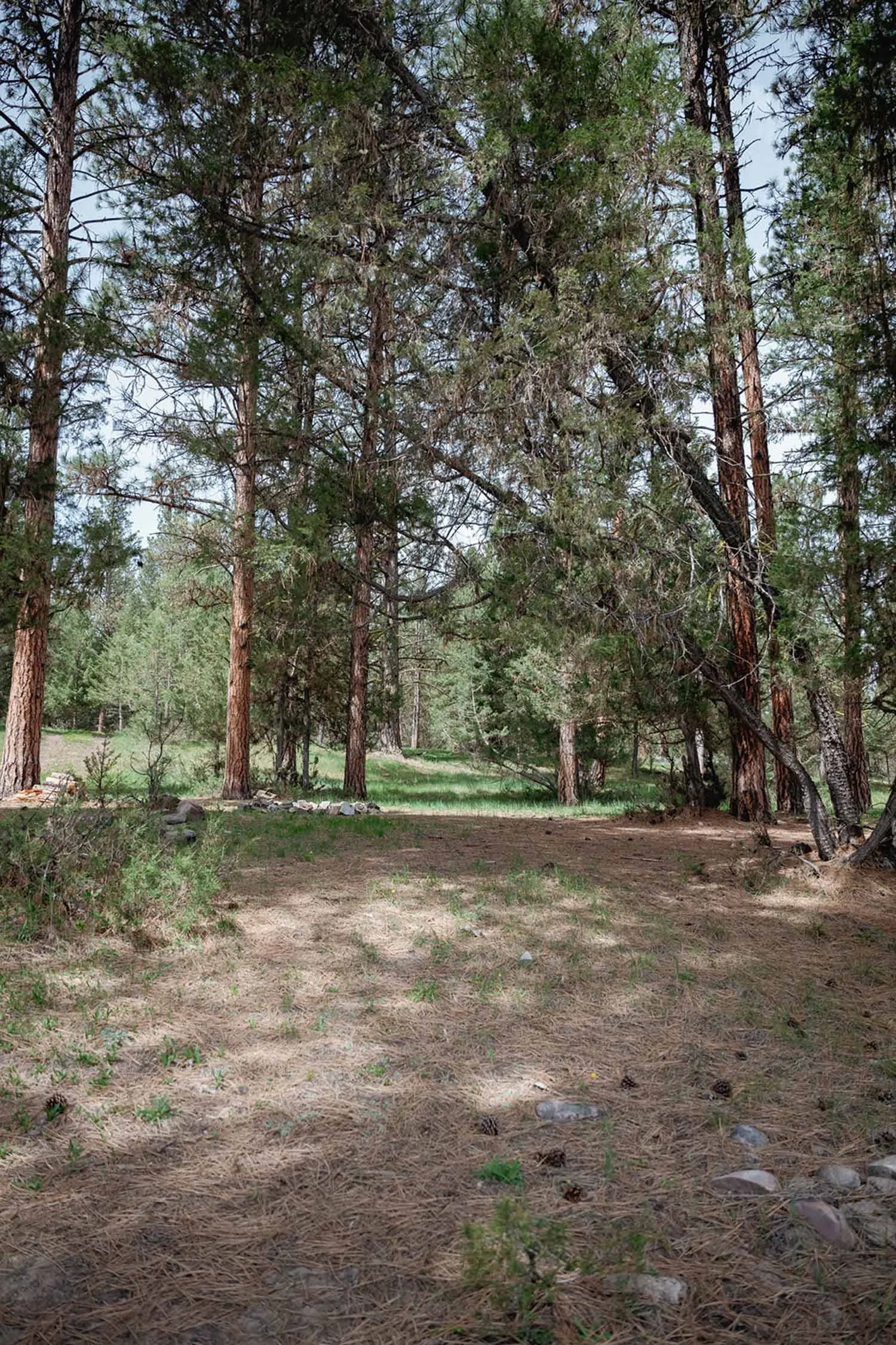 Ceremony Site at Resort at Paws Up