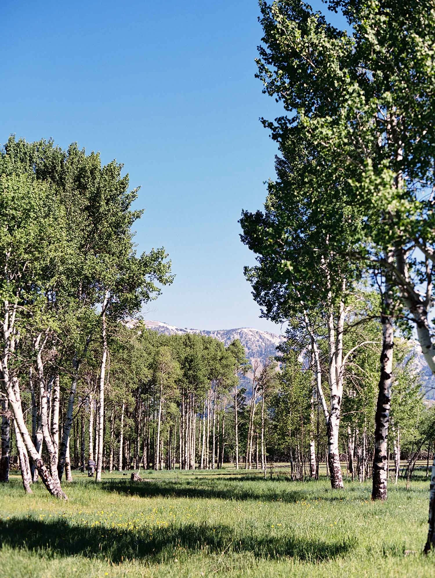 Jackson "40" Ceremony Location at Snake River Ranch