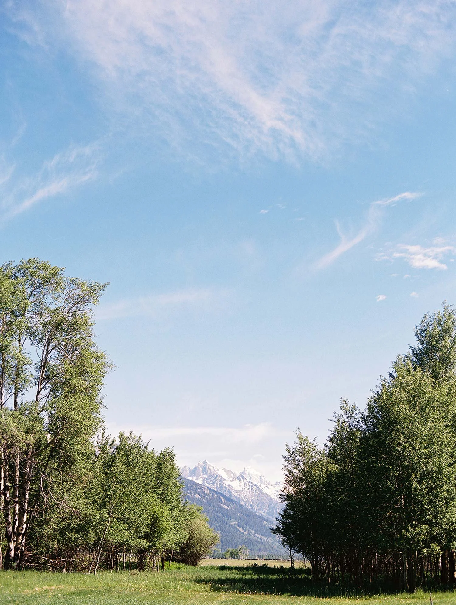 Giltner ceremony location near Teton Village Wyoming