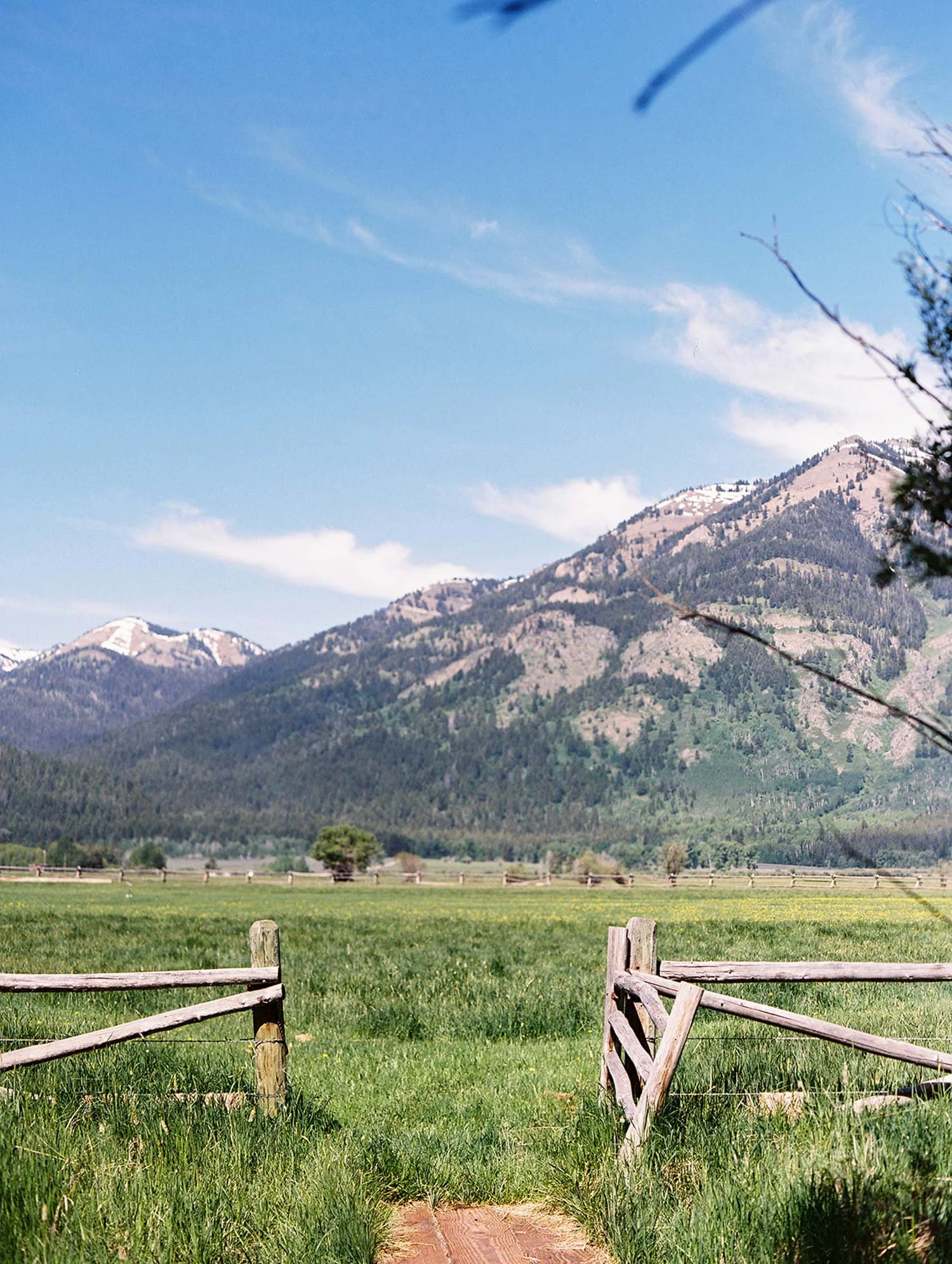 River Ranch walkway to teton meadow