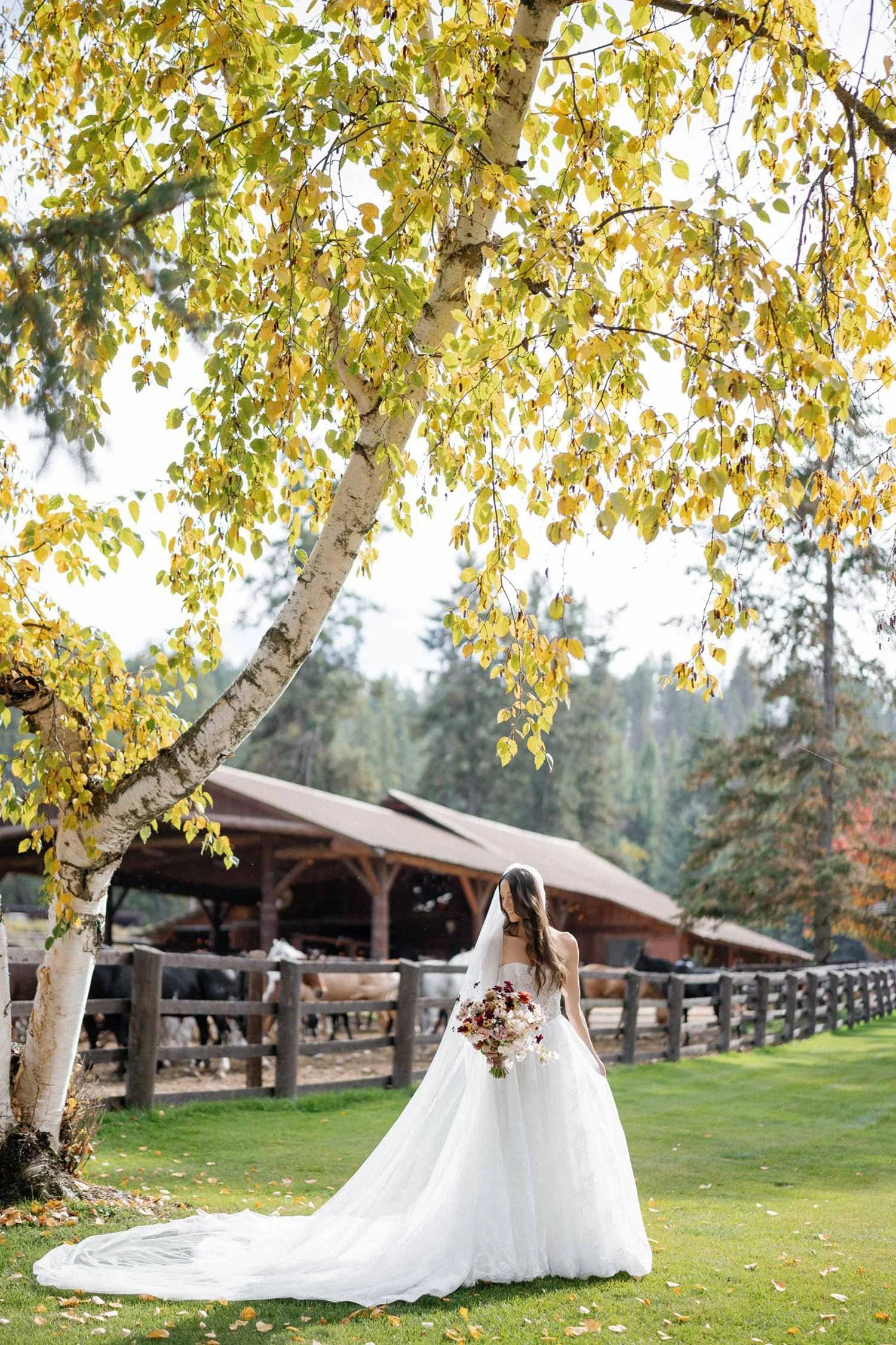 Flathead_lake_lodge_wedding_Montana_751.jpg