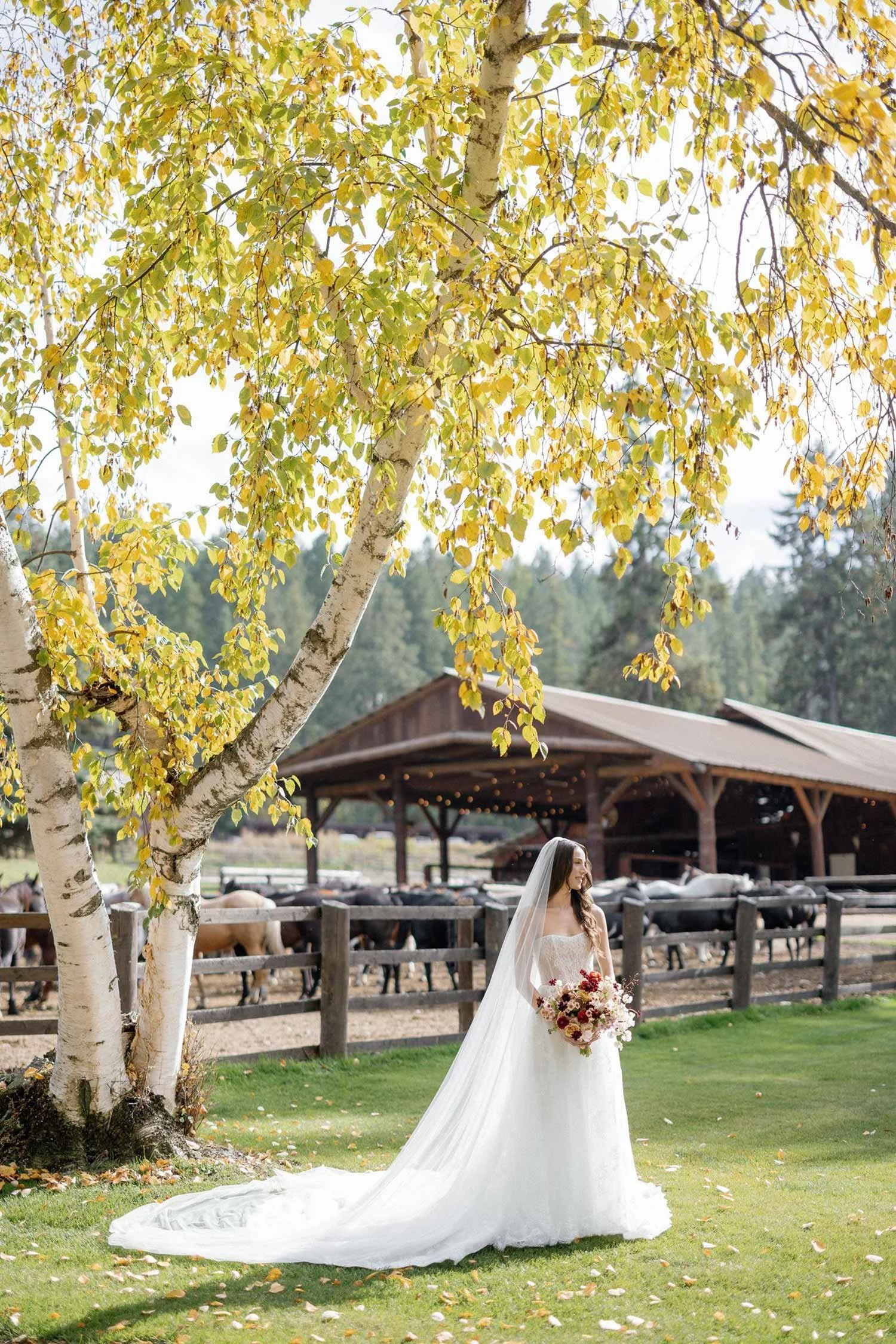 Flathead_lake_lodge_wedding_Montana_704.jpg