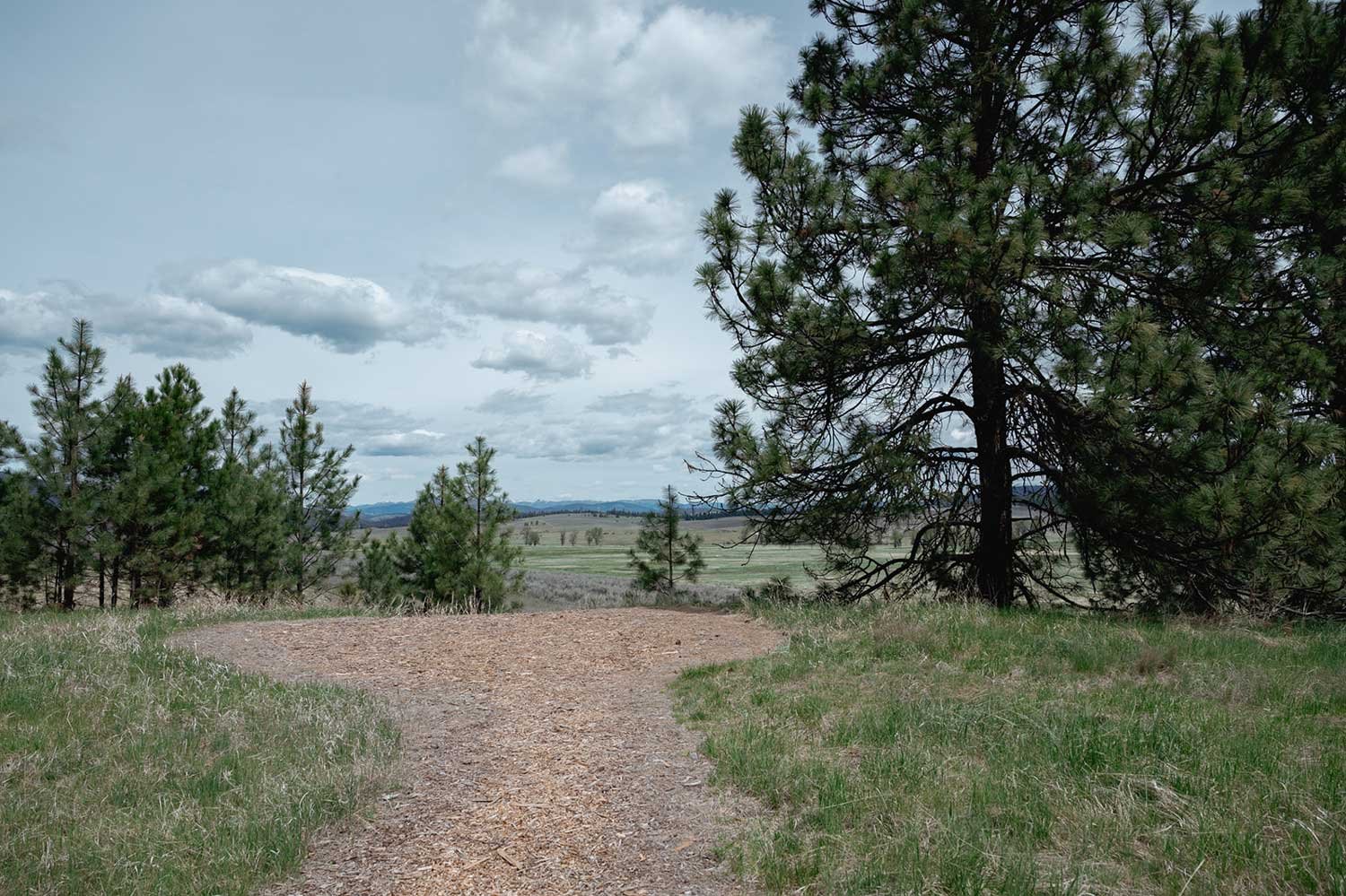 Windy Knoll wedding ceremony location at Paws Up in Montana