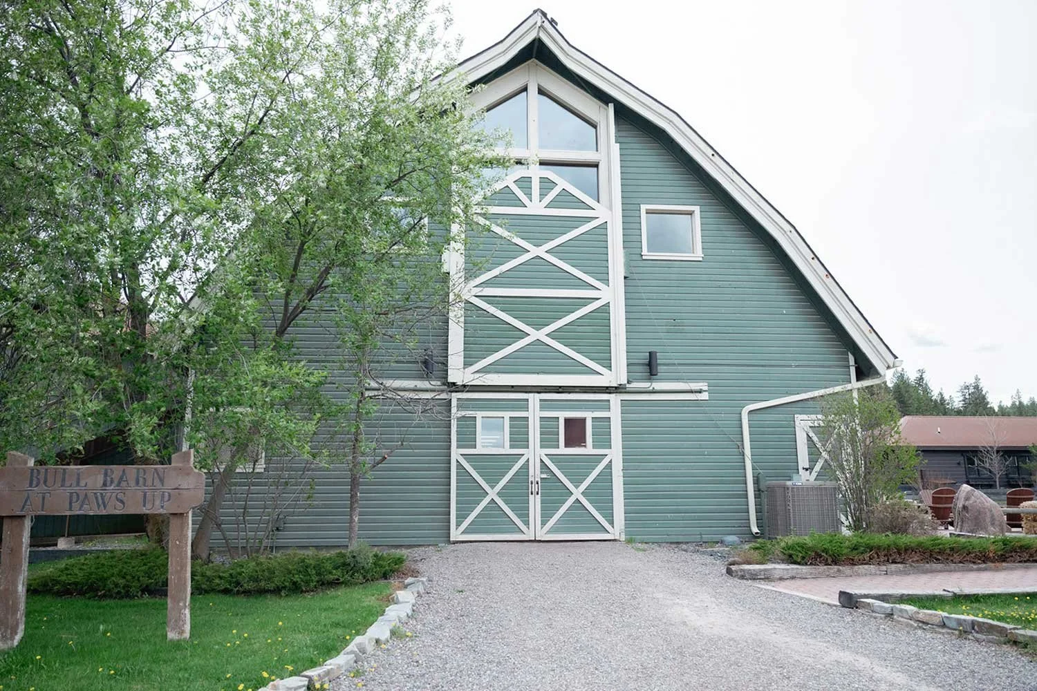 A green barn with white trim and a peaked roof, surrounded by trees and a gravel driveway, with a sign reading 'Bull Barn at Paws Up' in front.