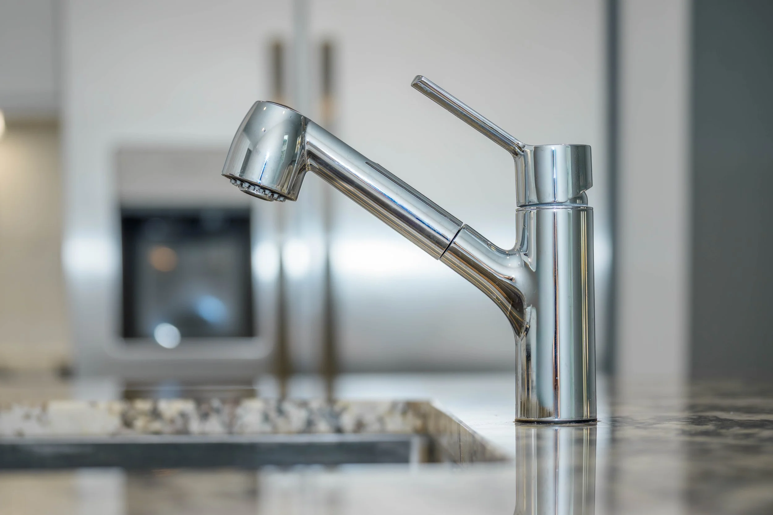 8626 Blueberry Ash Street-8.jpg