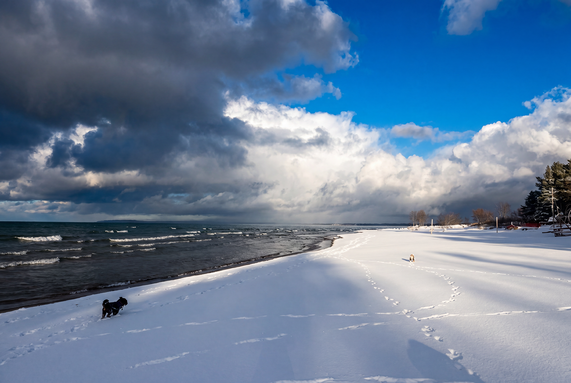 winter photography collingwood