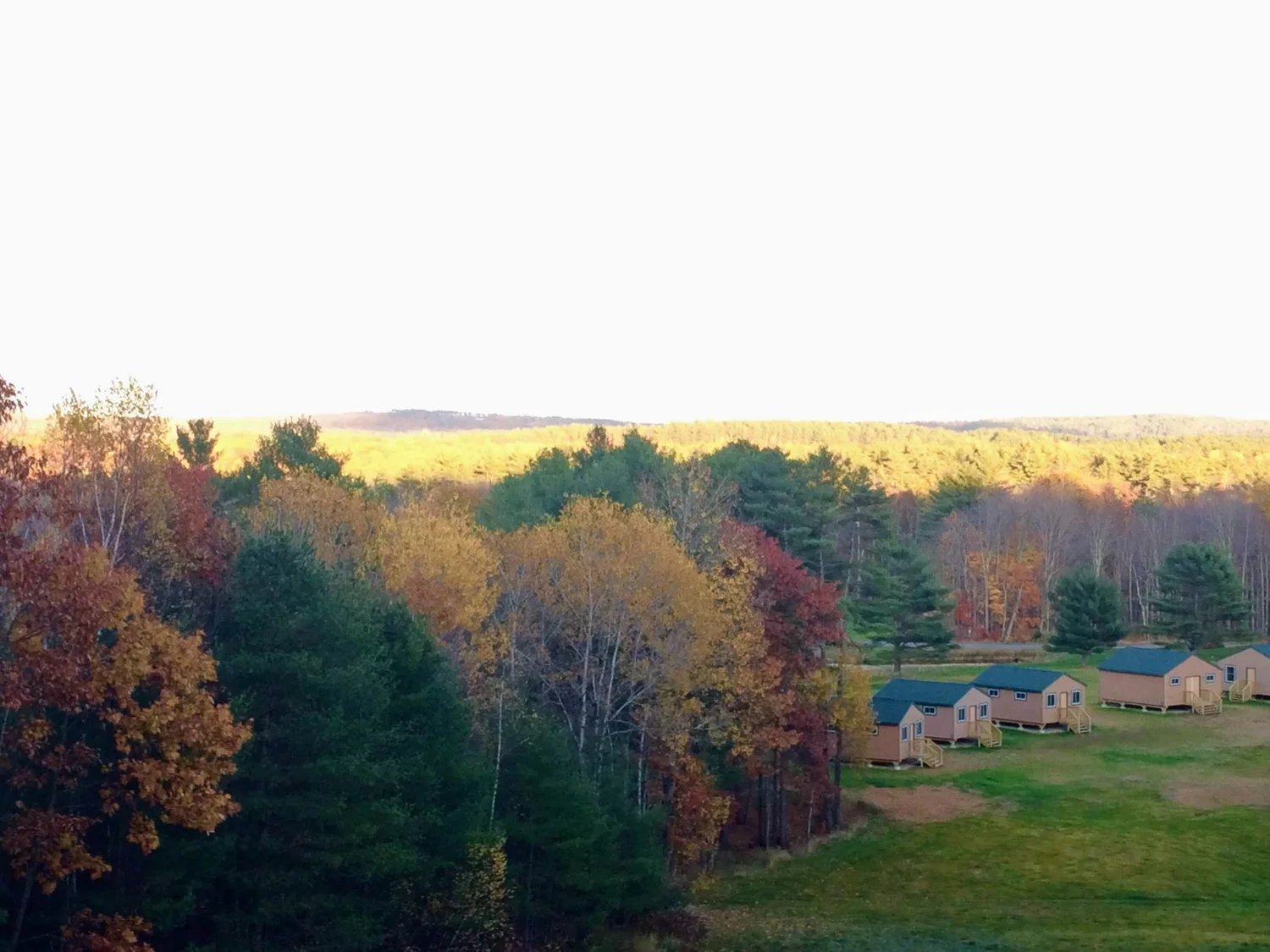 Maple Lane Weddings and Celebrations