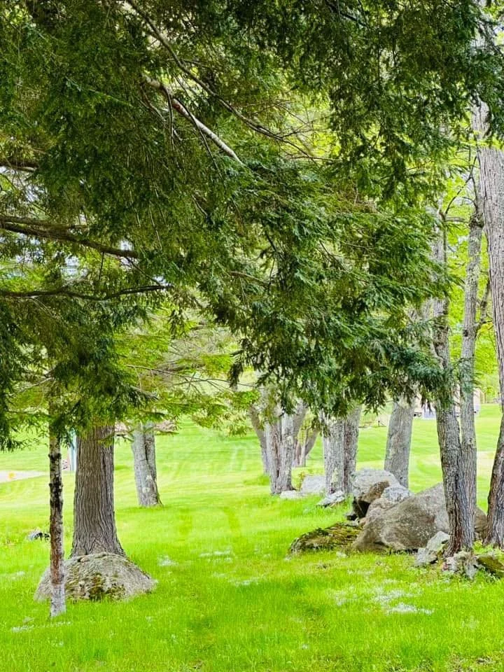 Maple Lane Weddings and Celebrations