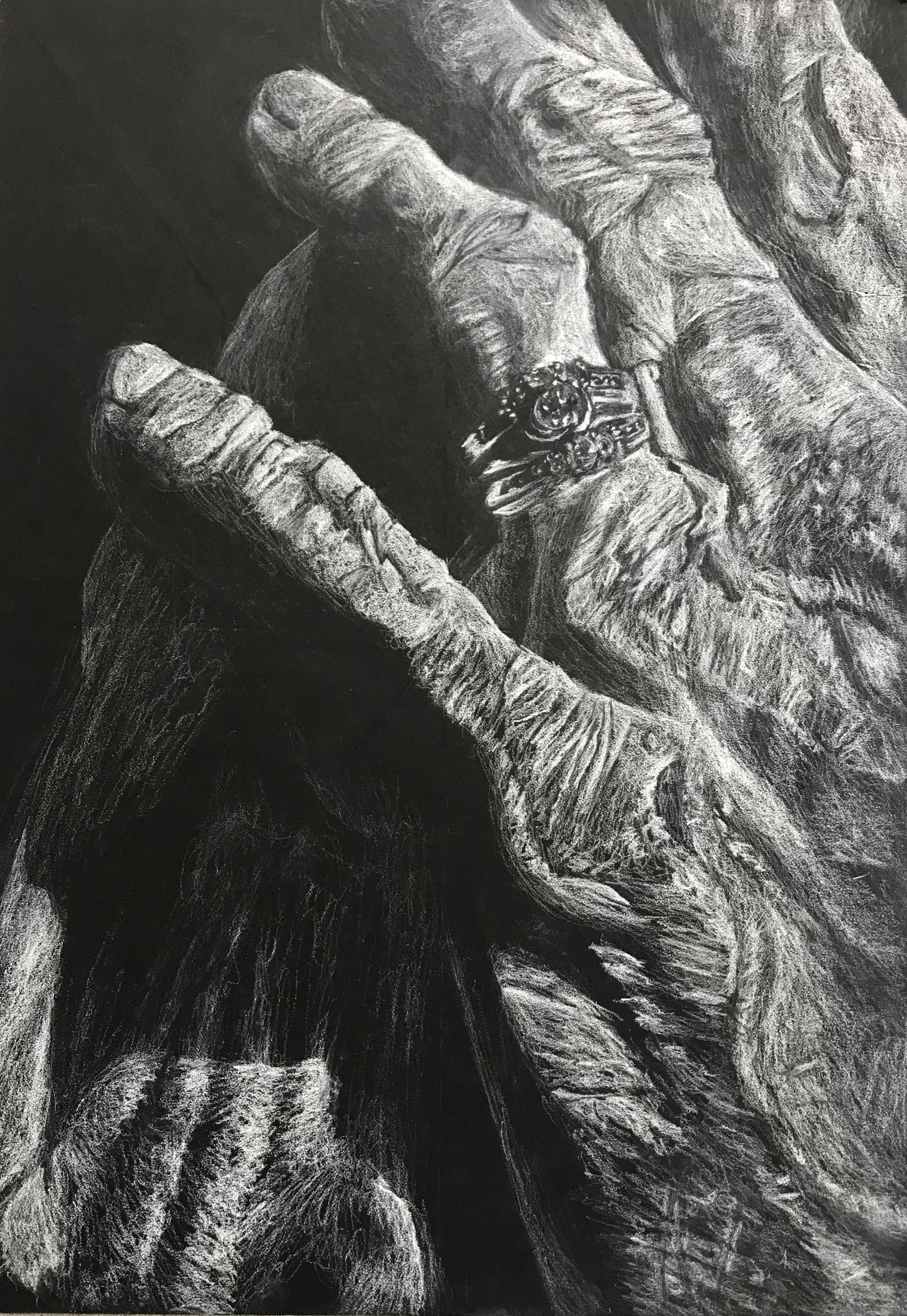 A detailed black and white drawing of a person with their hand near their face, wearing a ring, with intricate shading and textures.