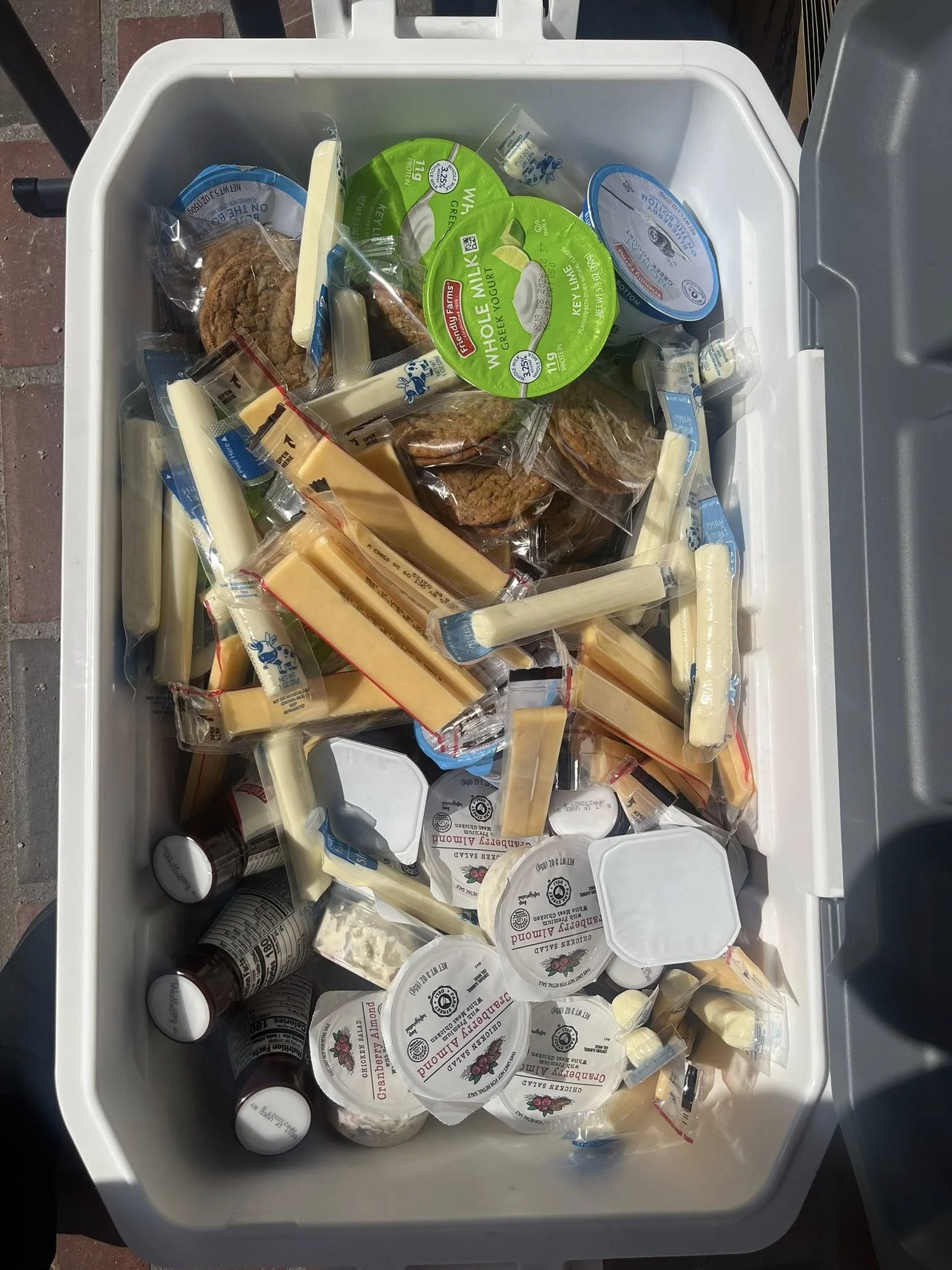 A cooler filled with various dairy products, including multiple containers of Greek yogurt, some cheese, and bottles of what appear to be dairy drinks or supplements.