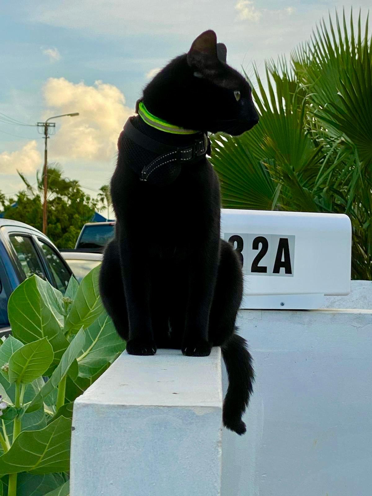 WhatsApp Image 2025-06-22 at 13.20.45_e9e894b5.jpg