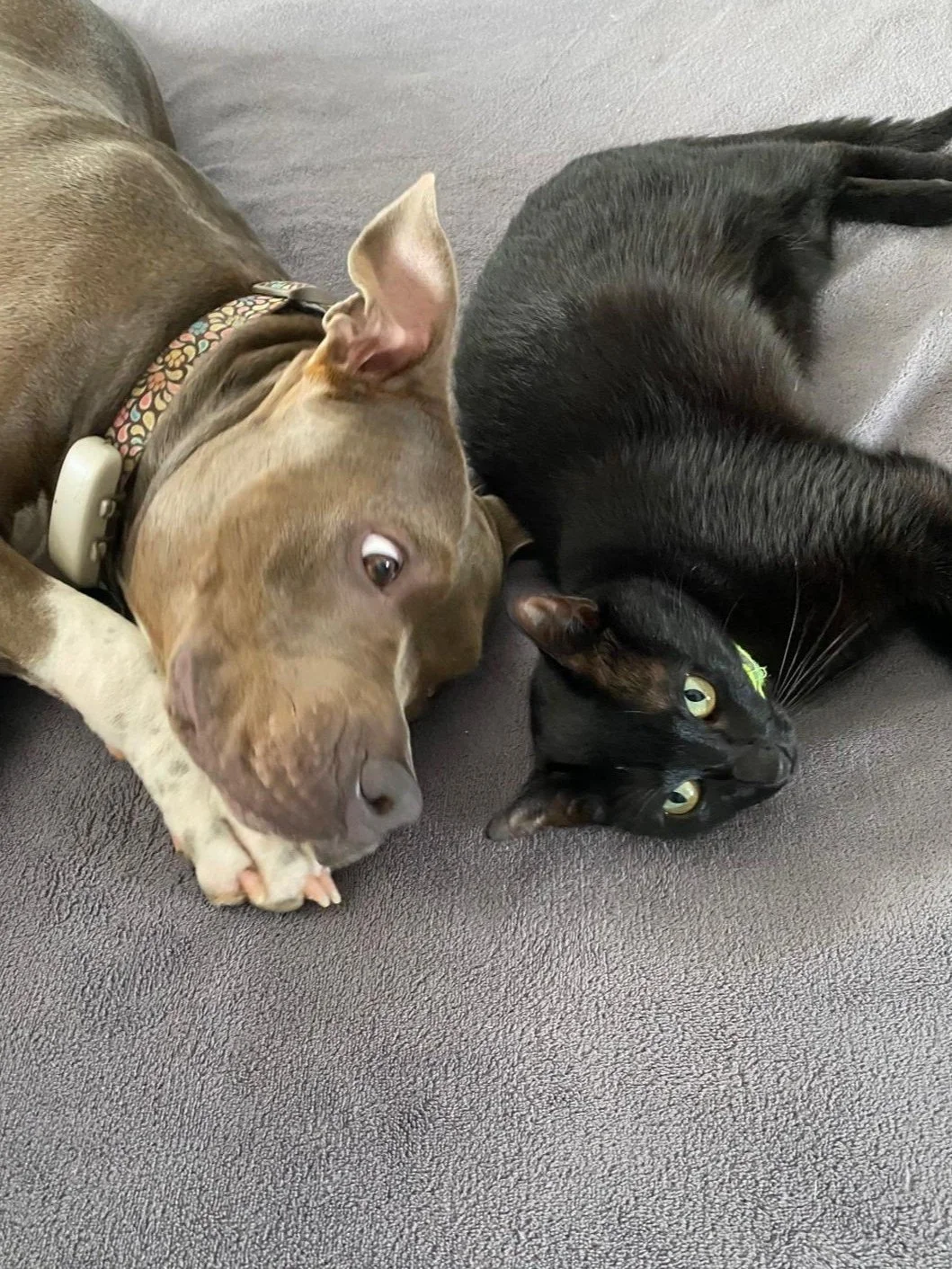 WhatsApp Image 2025-03-22 at 16.44.59_27ccb9cc.jpg