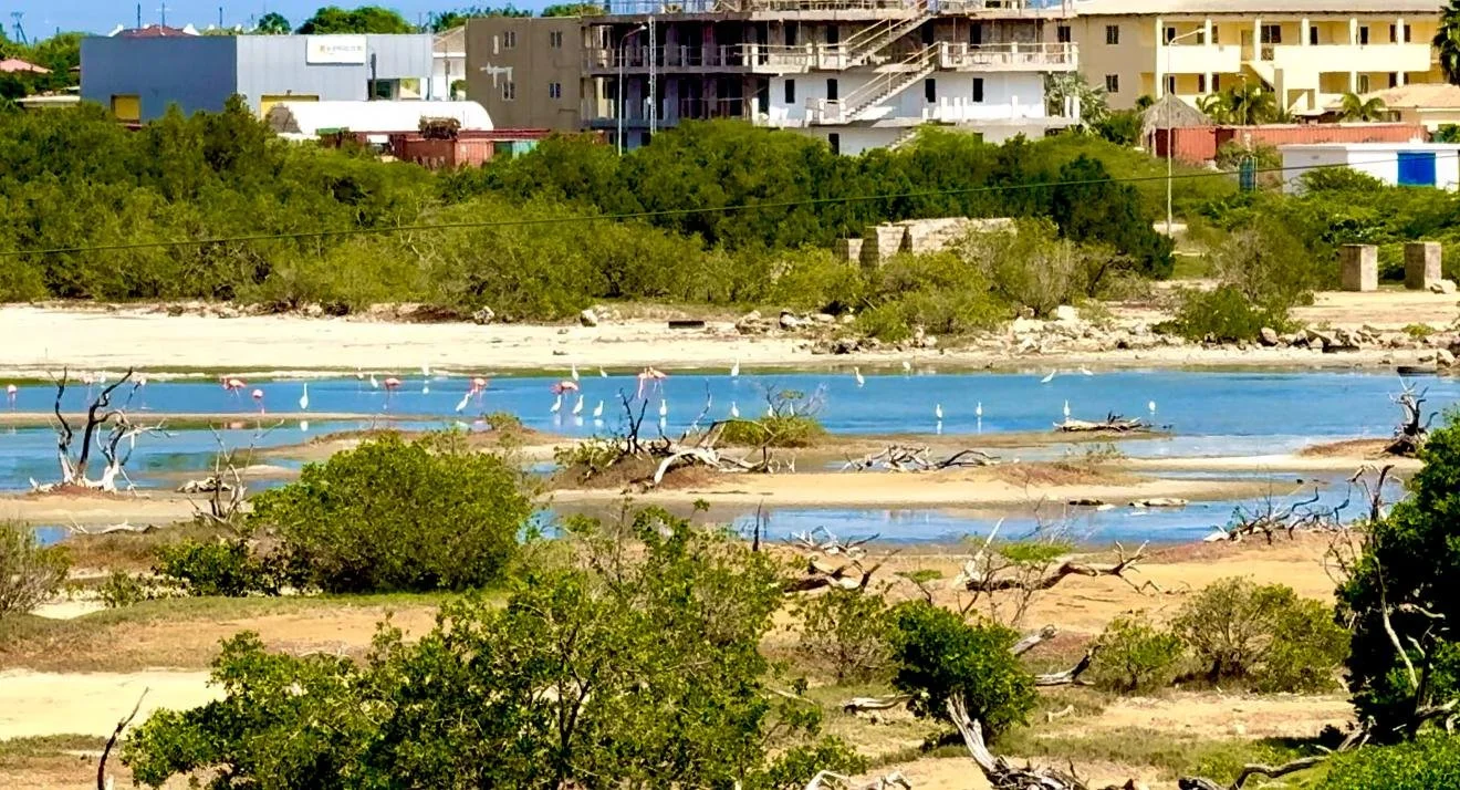 Blue water in lake near Kas Pitava, surrounded by greenery