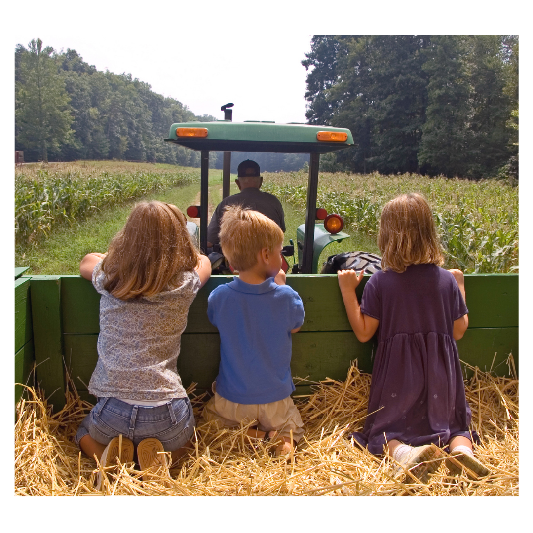 Farm-Themed Speech and Language Activities for Toddlers and Preschoolers
