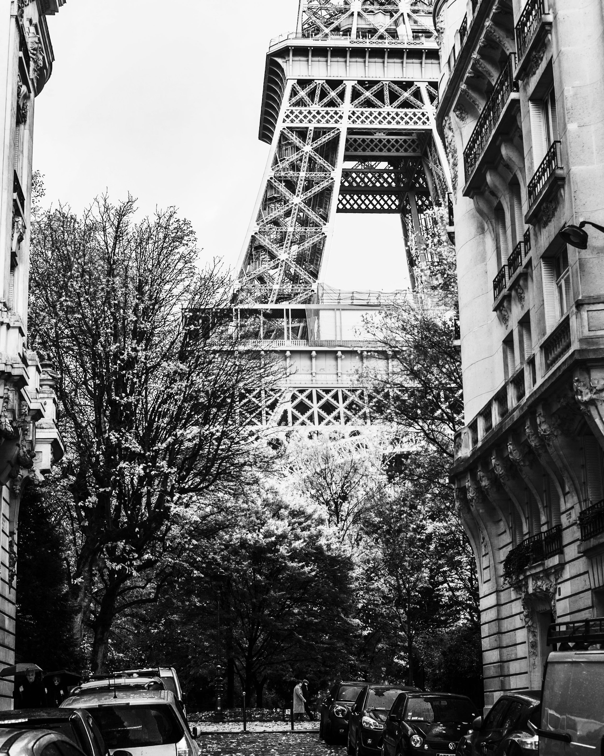 eiffel_under_bush.jpg