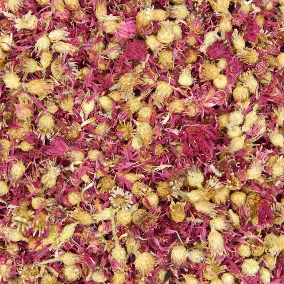 Untitled Project (53).jpg