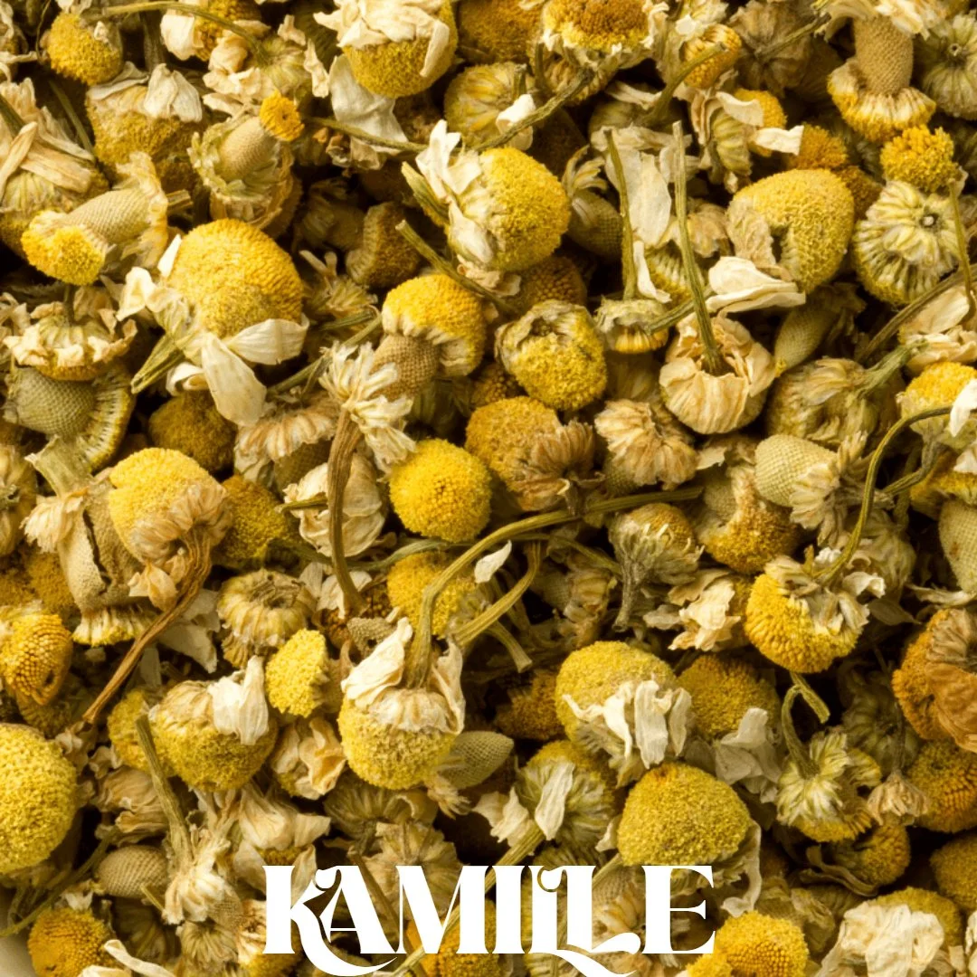 Untitled Project (23).jpg