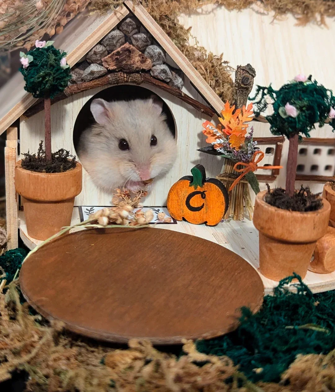 Valg av materialer til DIY