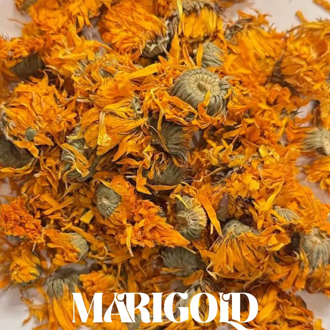 Untitled Project (27).jpg