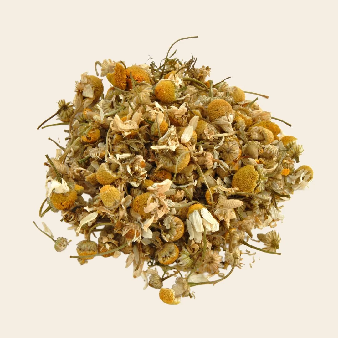 Untitled Project - 2026-03-26T134751.424.jpg