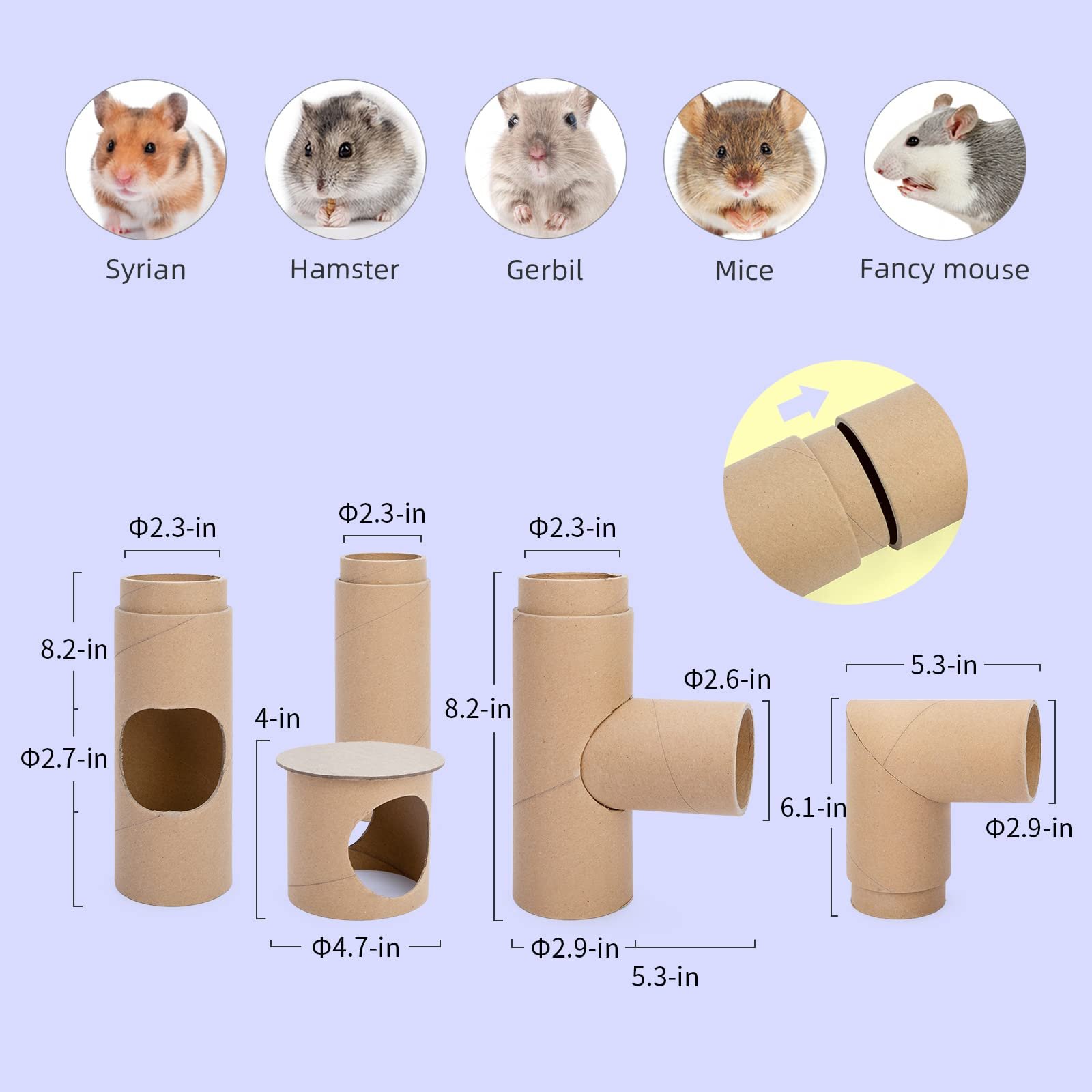 611Psxcs46L.jpg