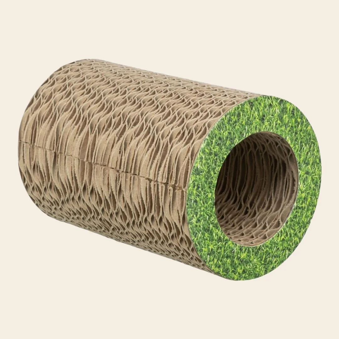 Papptunnel