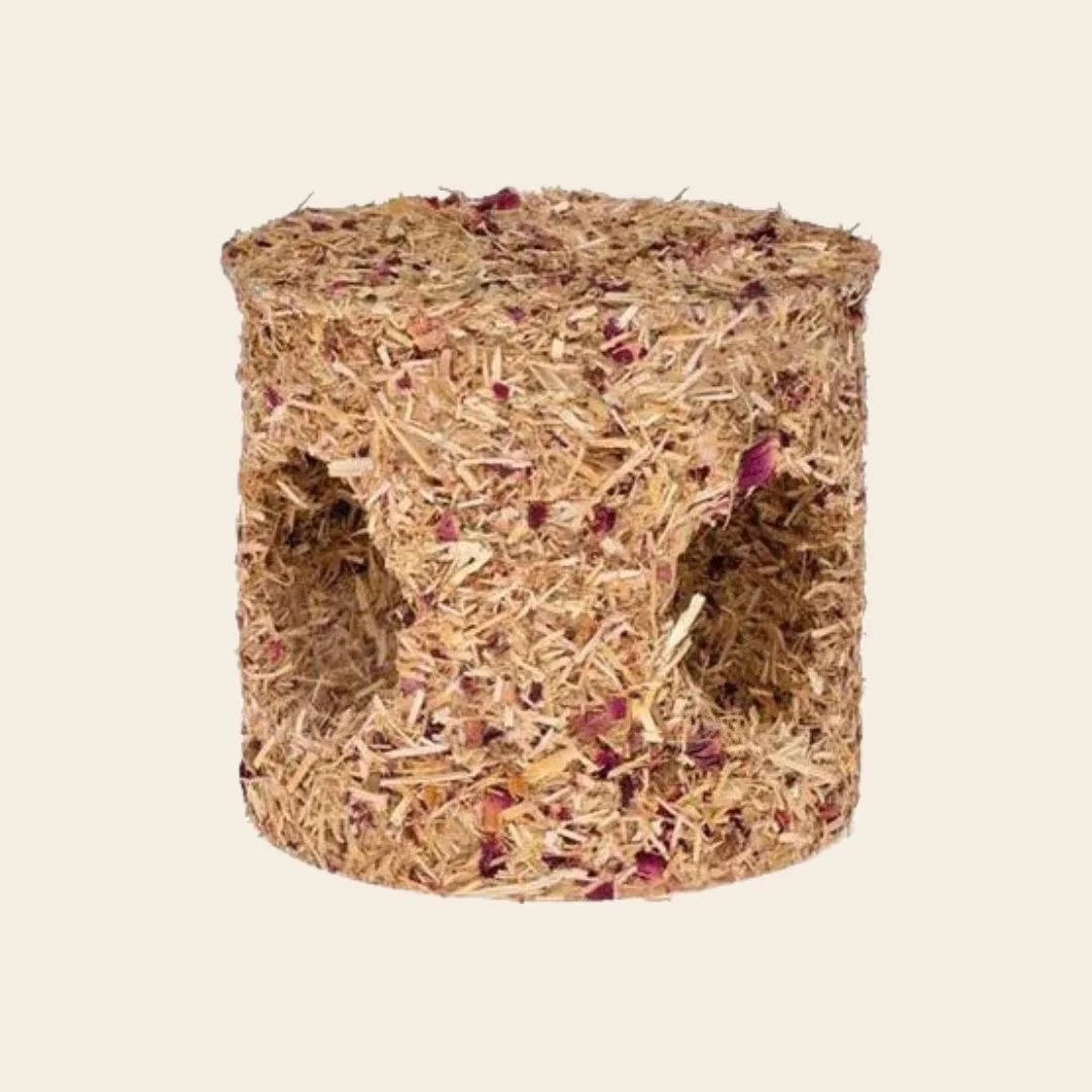 Untitled Project (11).jpg