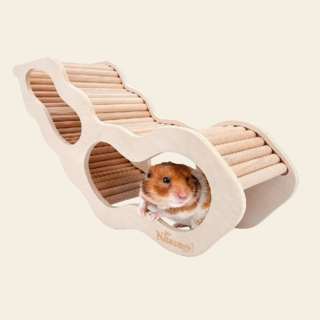 Niteangel tunnel starter