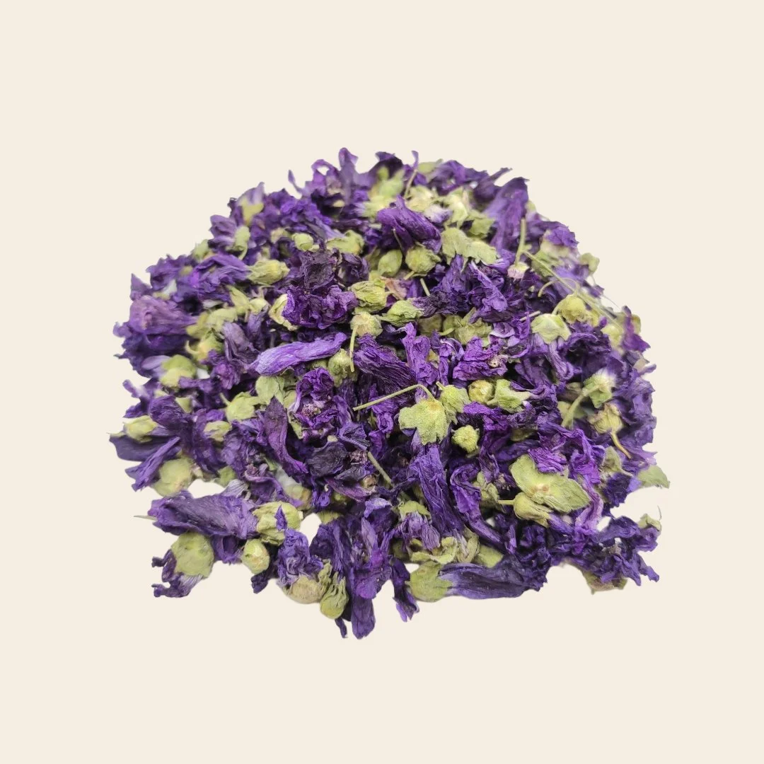 Untitled Project - 2026-03-26T161505.706.jpg