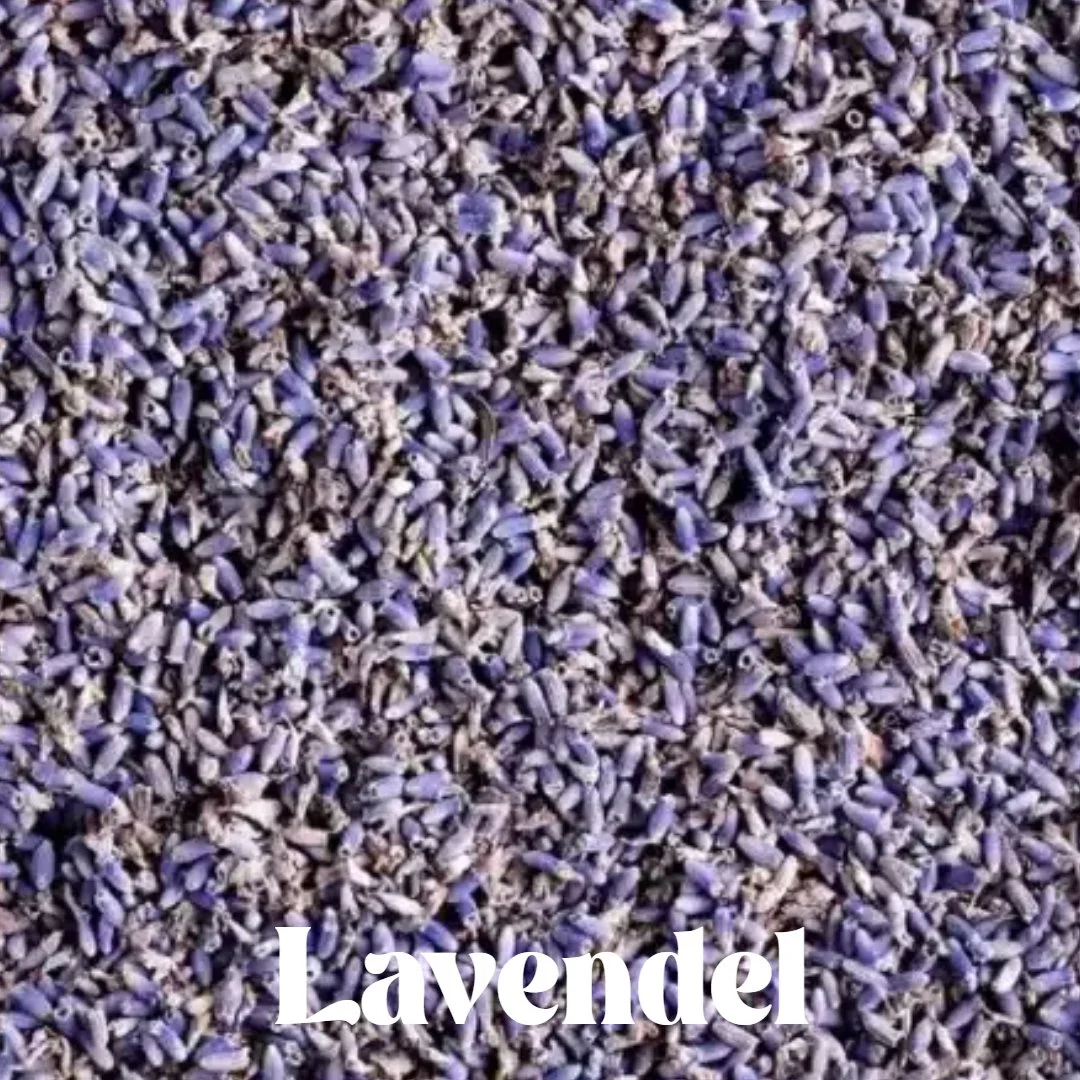 Untitled Project (90).jpg