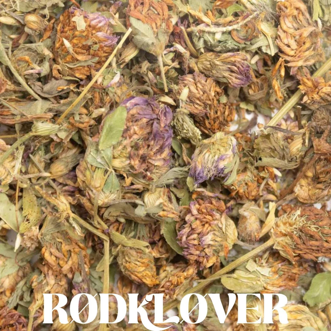 Untitled Project (25).jpg