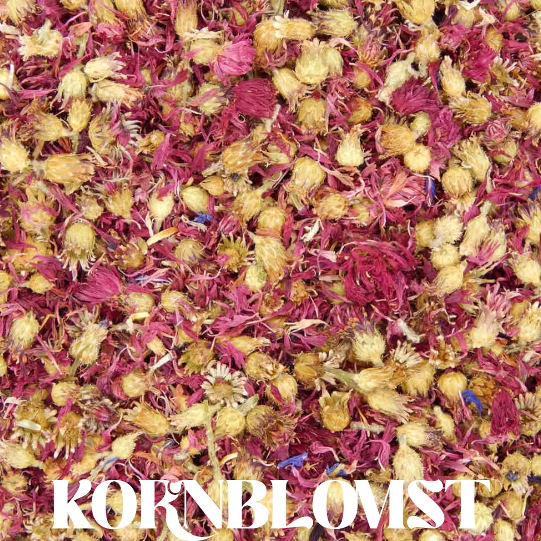 Untitled Project (20).jpg