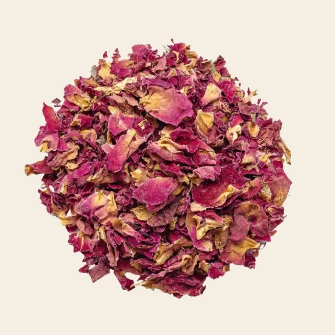 Untitled Project - 2026-03-26T153552.373.jpg