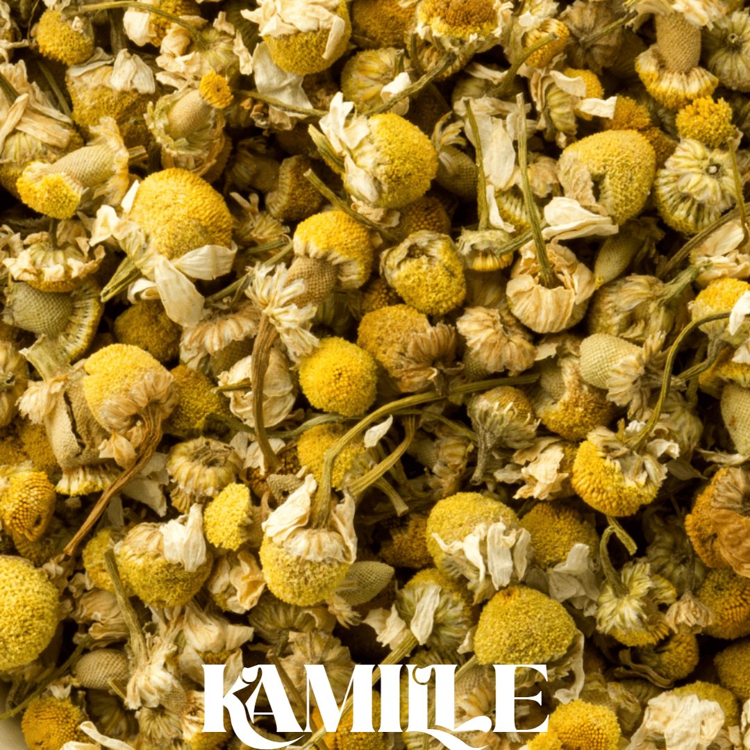 Untitled Project (23).jpg