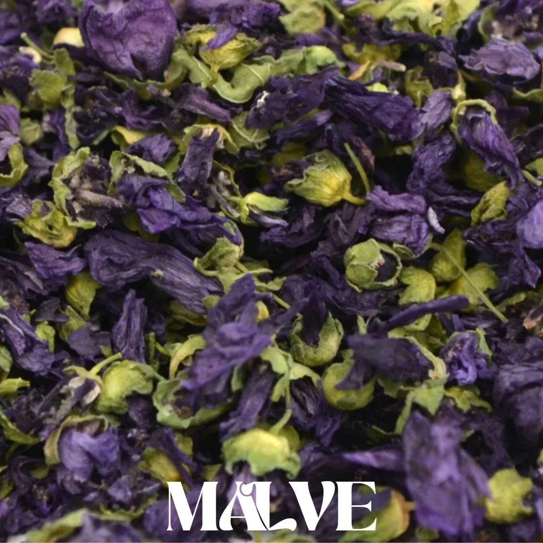 Untitled Project (26).jpg