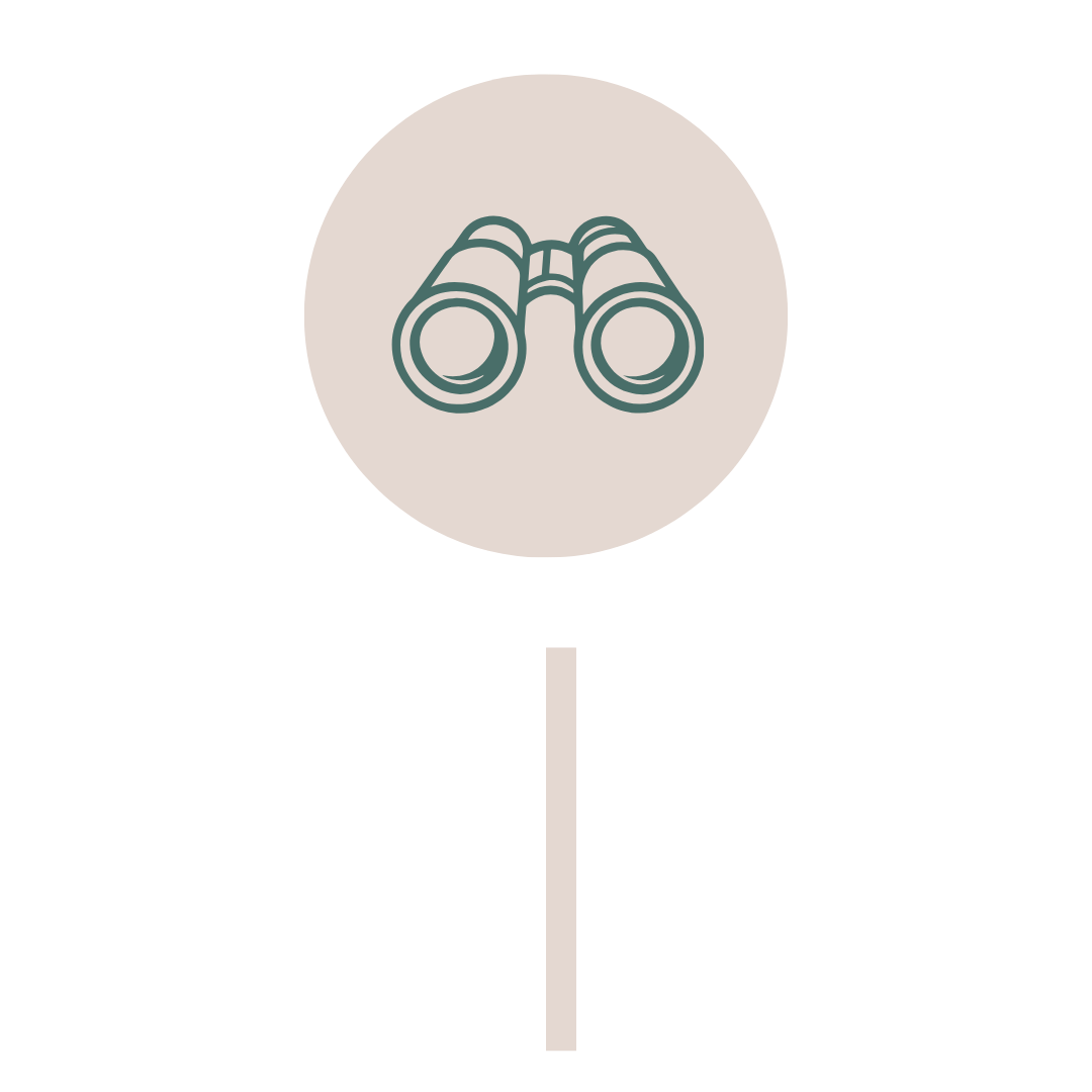 Icon of binoculars inside a circular background with a stick underneath.