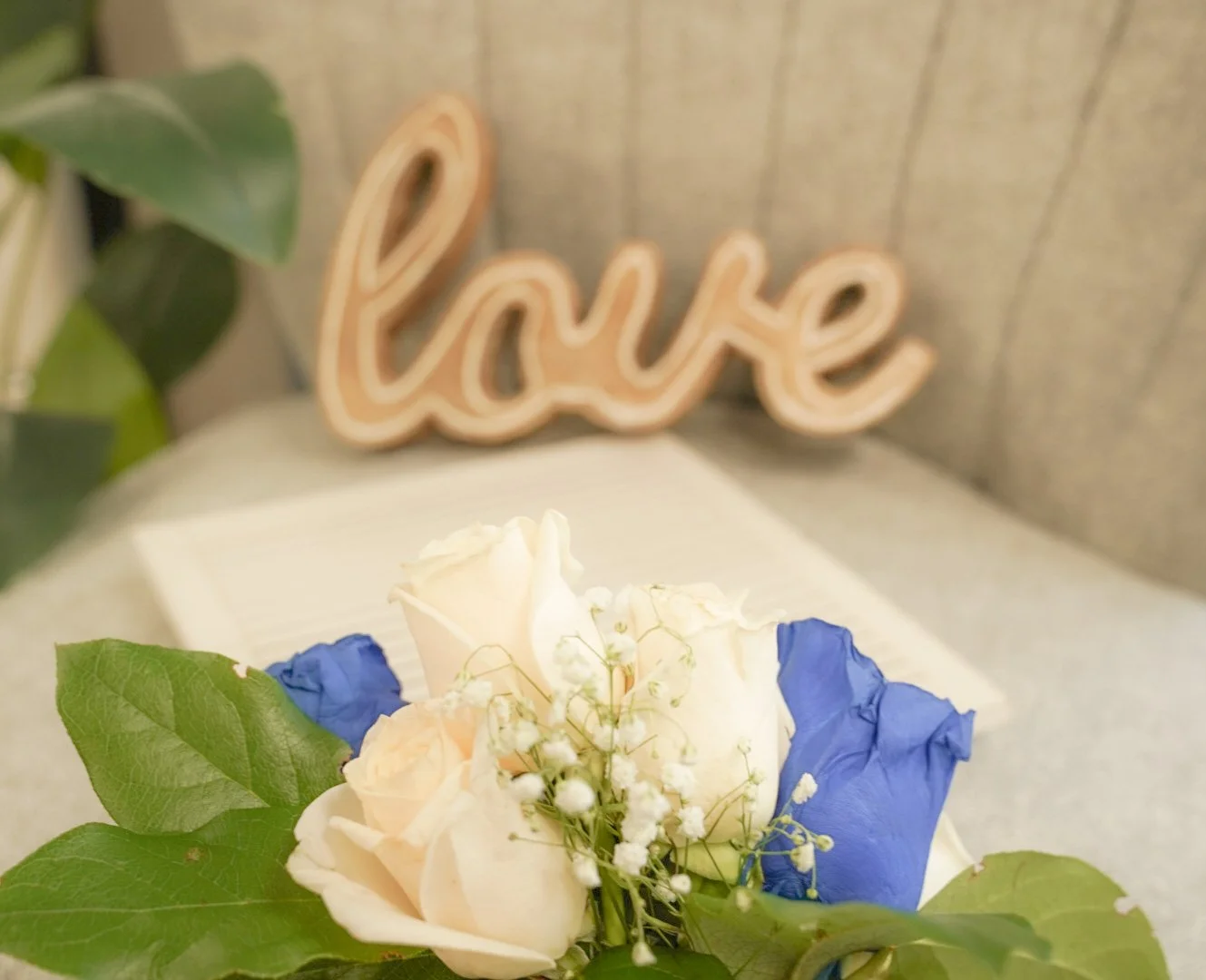 Copy of DSC07002.JPG