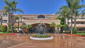 laguna woods ivy.jpg