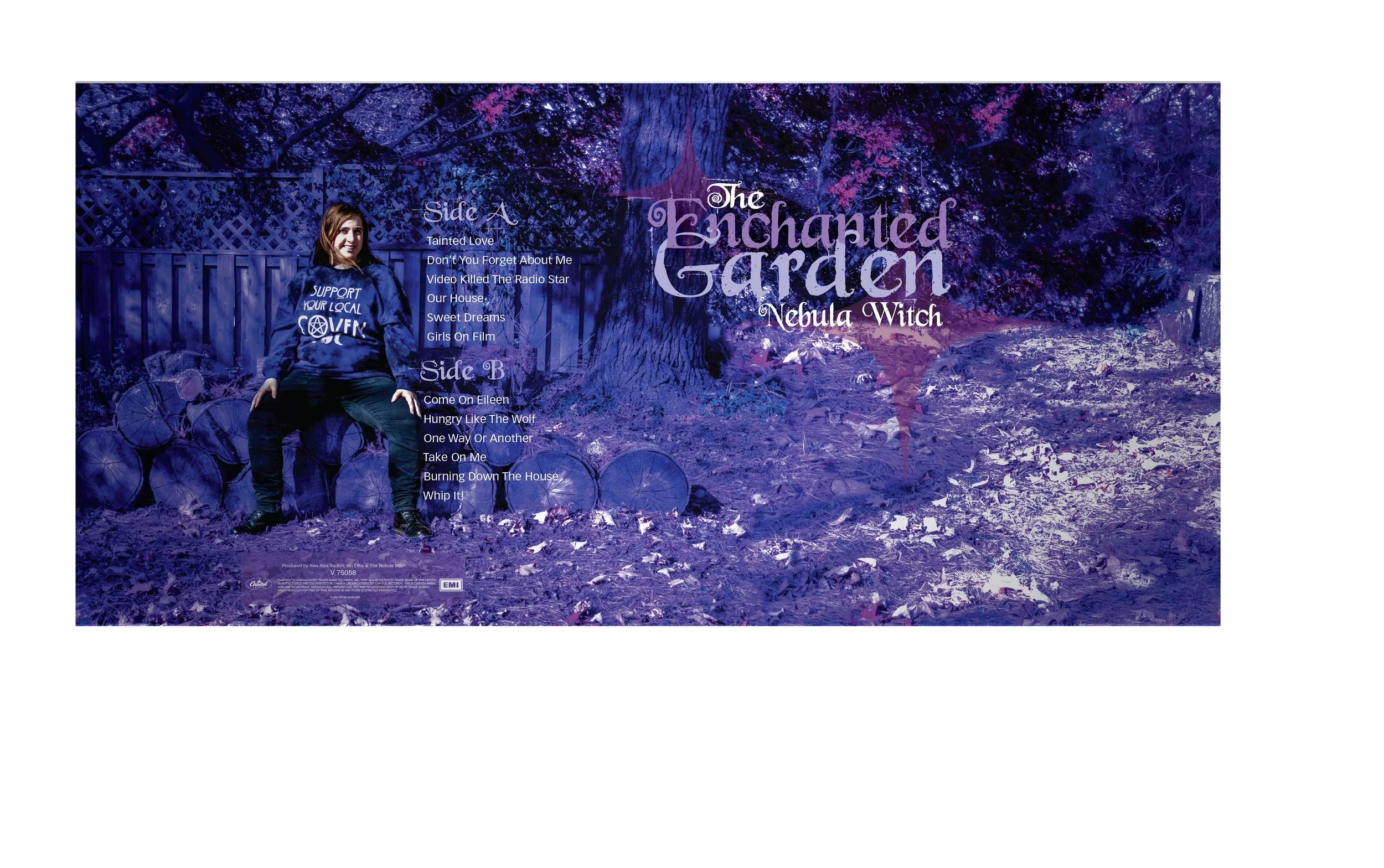 The digital file showing the wrap - around artwork for the cover