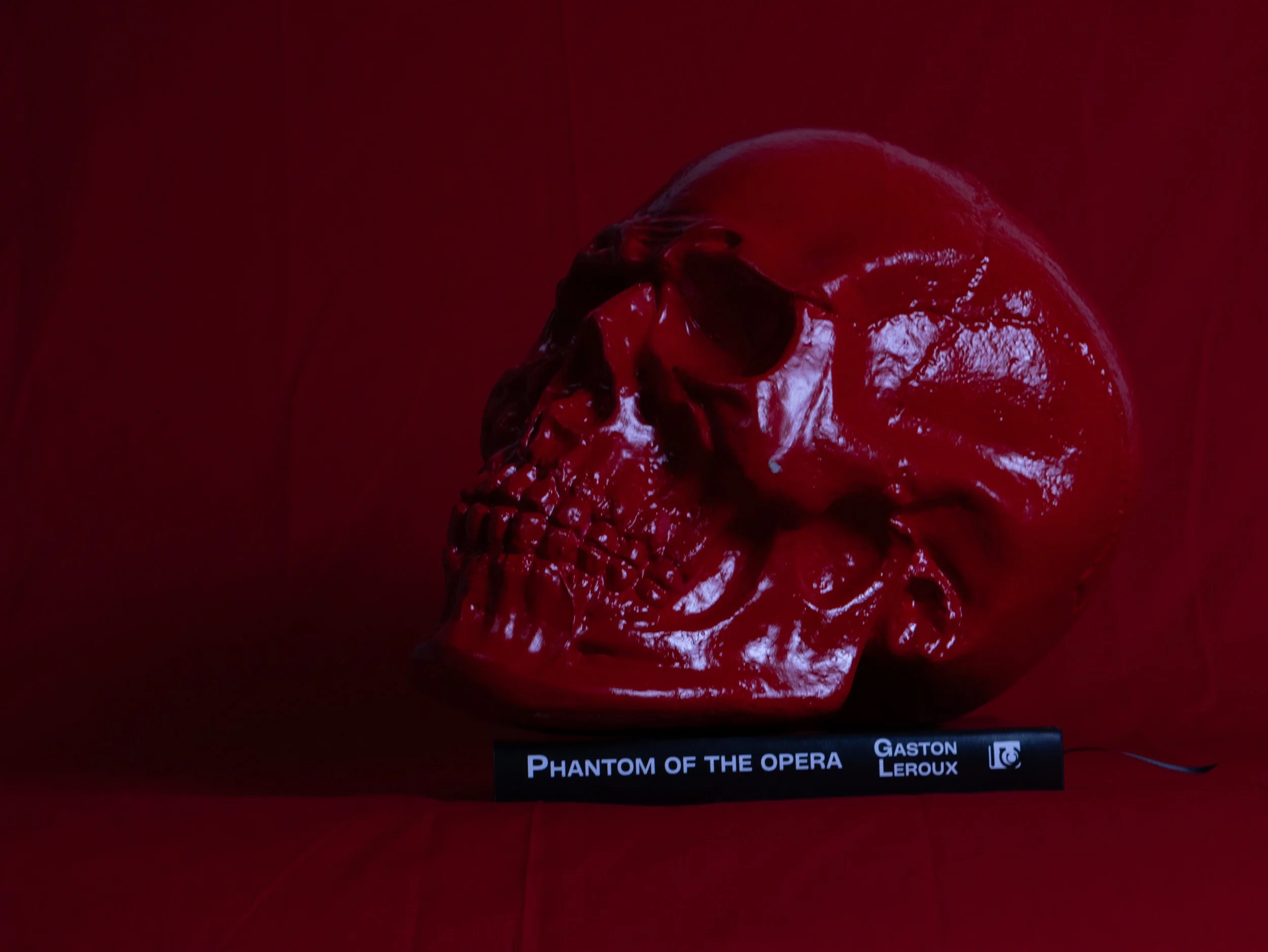 The skull sitting on top of the book, showing its spine