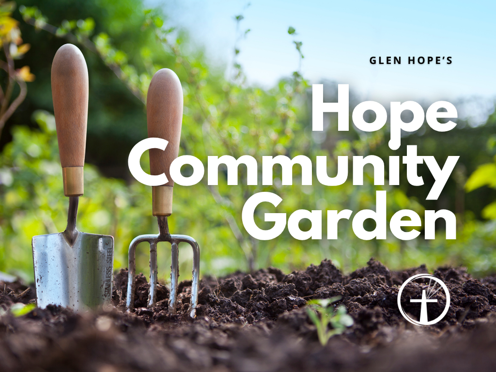 Check out our Hope Community Garden in the Hope Field beside the church! We have lots of vegetables that are ready to be harvested during most of our summer months! Simply stop by whenever you like and take what you need. Feel free to contact the chu