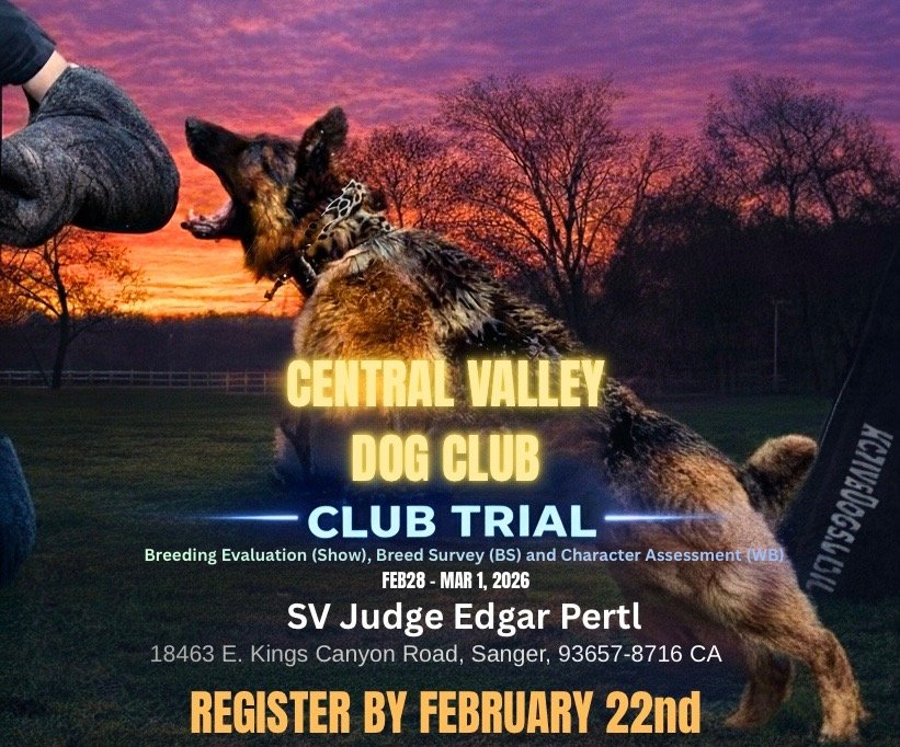 Club Trial, Breed Evaluation, Breed Survey & Character Assessment