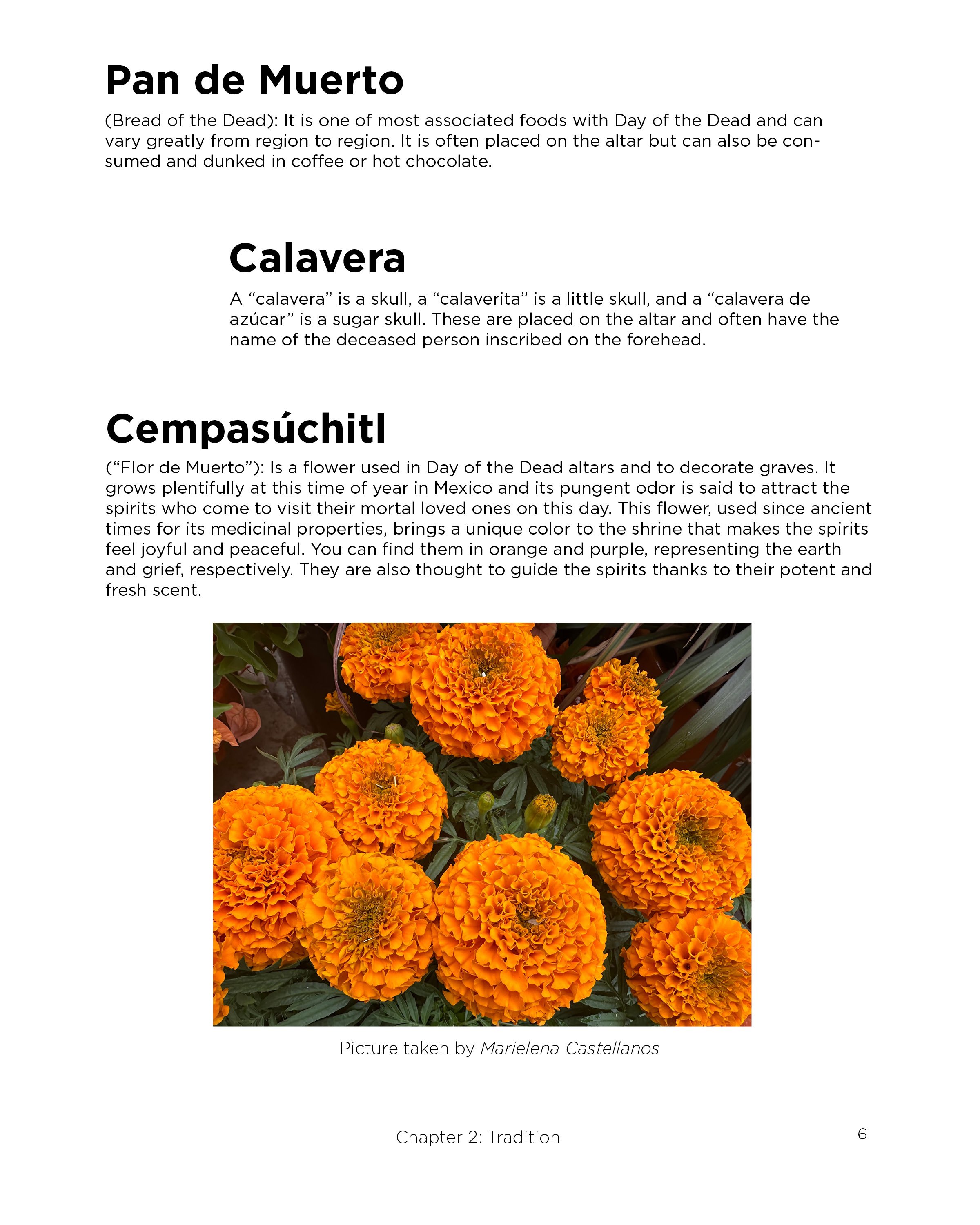 DESN245_Fall24_AF_Joseph_McCoy_FinalProject_Draft_Booklet9.jpg