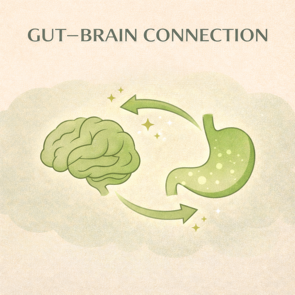 Gut–Brain Food Connections: Supporting Digestion, Mood, and Energy