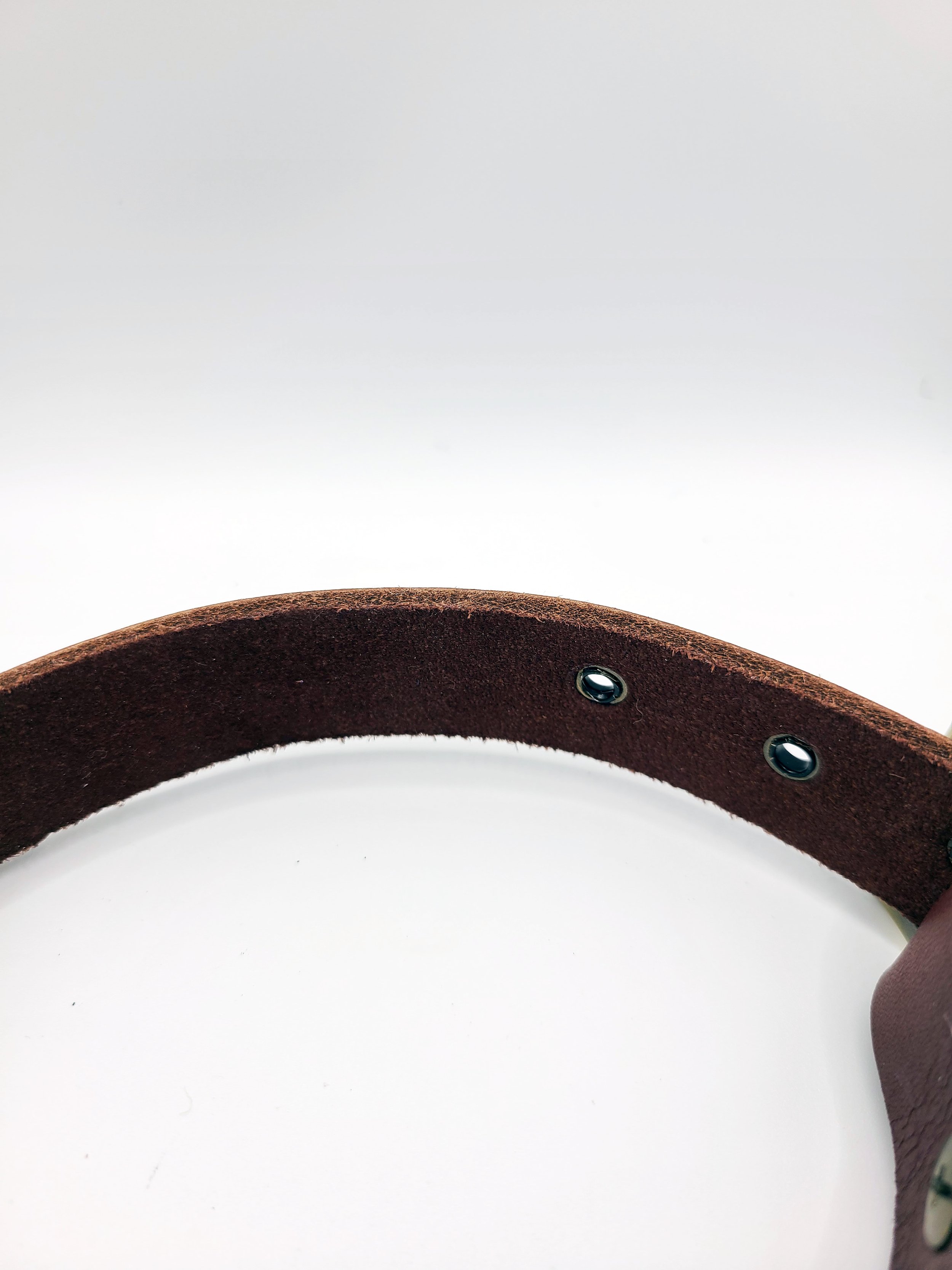 Beans' Best Collar - "A Classic"