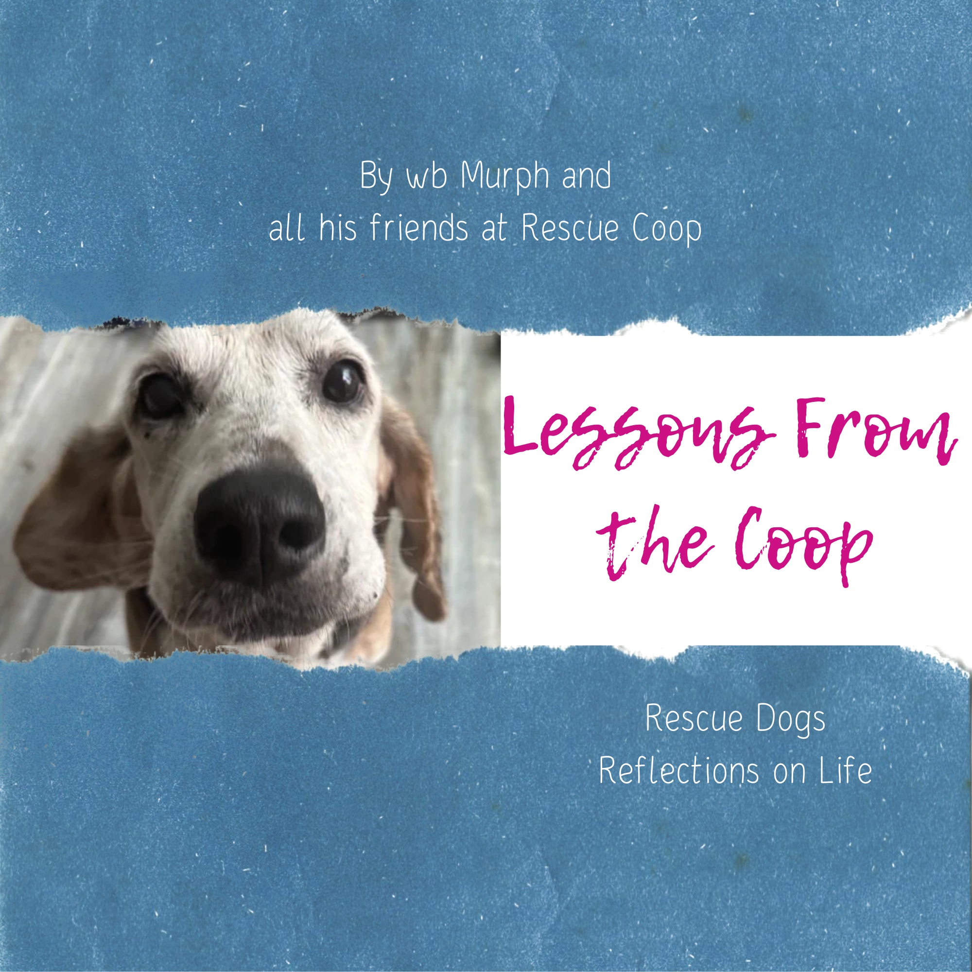 Lessons From the Coop.png